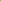 Soft Silk (Rich Border, Floral, Contrast)